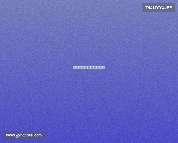 维萨预计将于周二回归布伦特福德训练并恢复备战