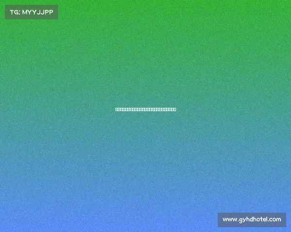 法甲联赛非洲杯球员表现分析及其对球队影响的深度探讨